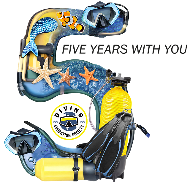 DES slaví 5 let. DES celebrates 5 years.